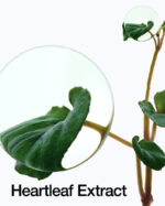 Anua Heartleaf Pore Control Cleansing Oil 200 ml - Image 4