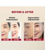 SEOUL 1988 Serum Retinal Liposome 2% + Black Ginseng - Image 2