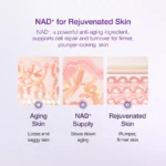 Numbuzin No.9 NAD+ Bio Lifting Sil Essence – 50ml (2025 Version) - Image 4